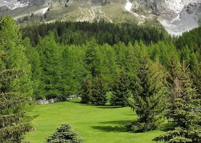 Belvedere Hotel Courmayeur