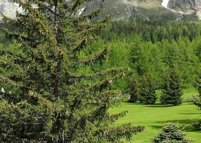 Belvedere Hotel Courmayeur